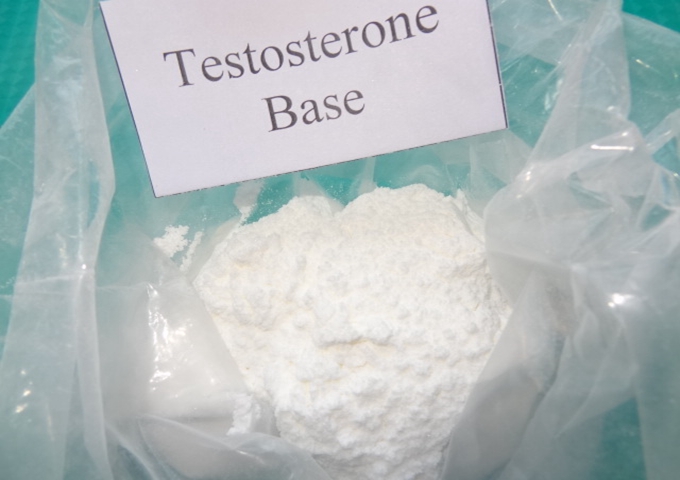 Testosterone Base Powder